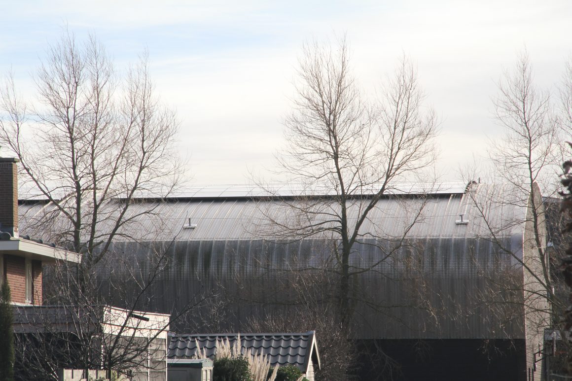 Zon op De Kraal