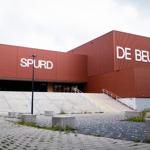 Zon op De Beuk